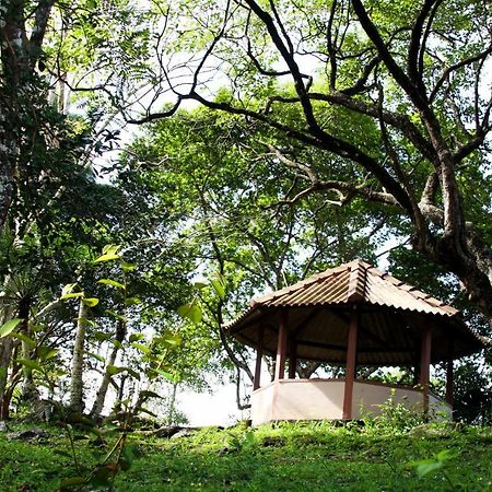Rajanawa Resort Ratnapura Kültér fotó