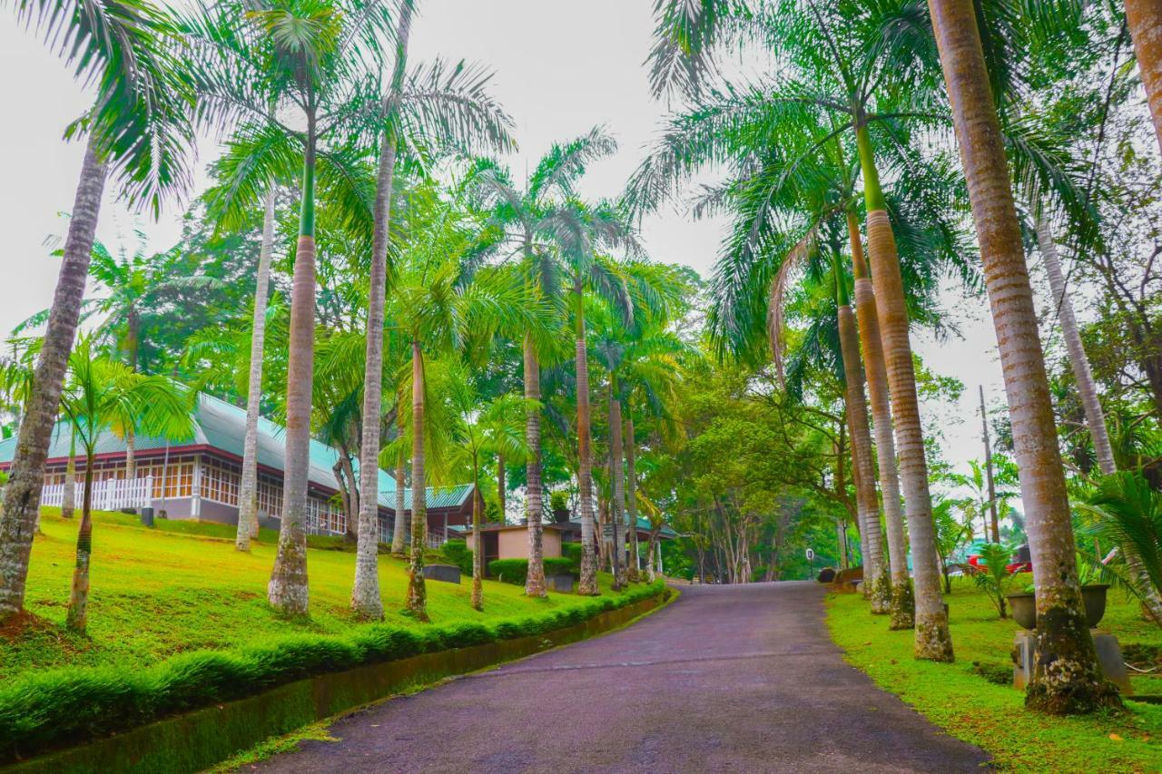 Rajanawa Resort Ratnapura Kültér fotó