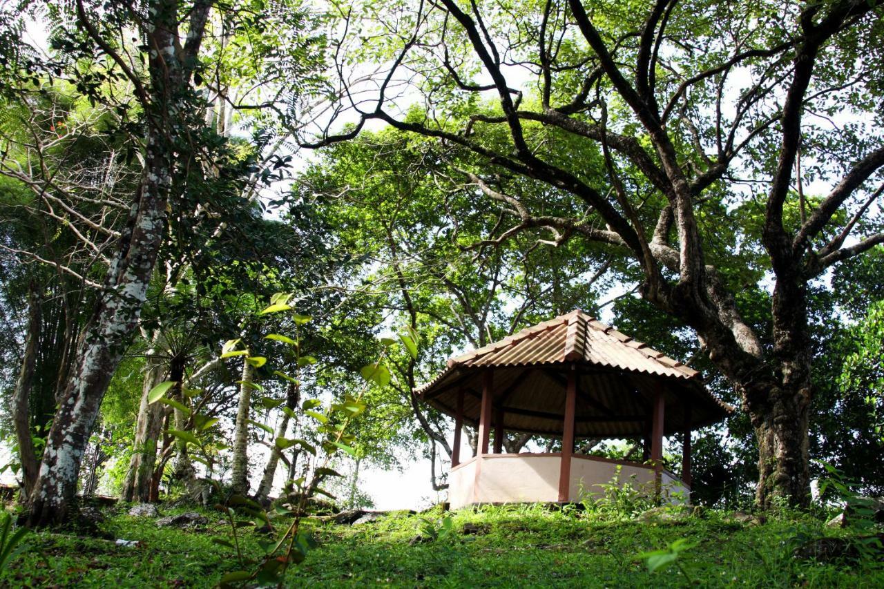 Rajanawa Resort Ratnapura Kültér fotó